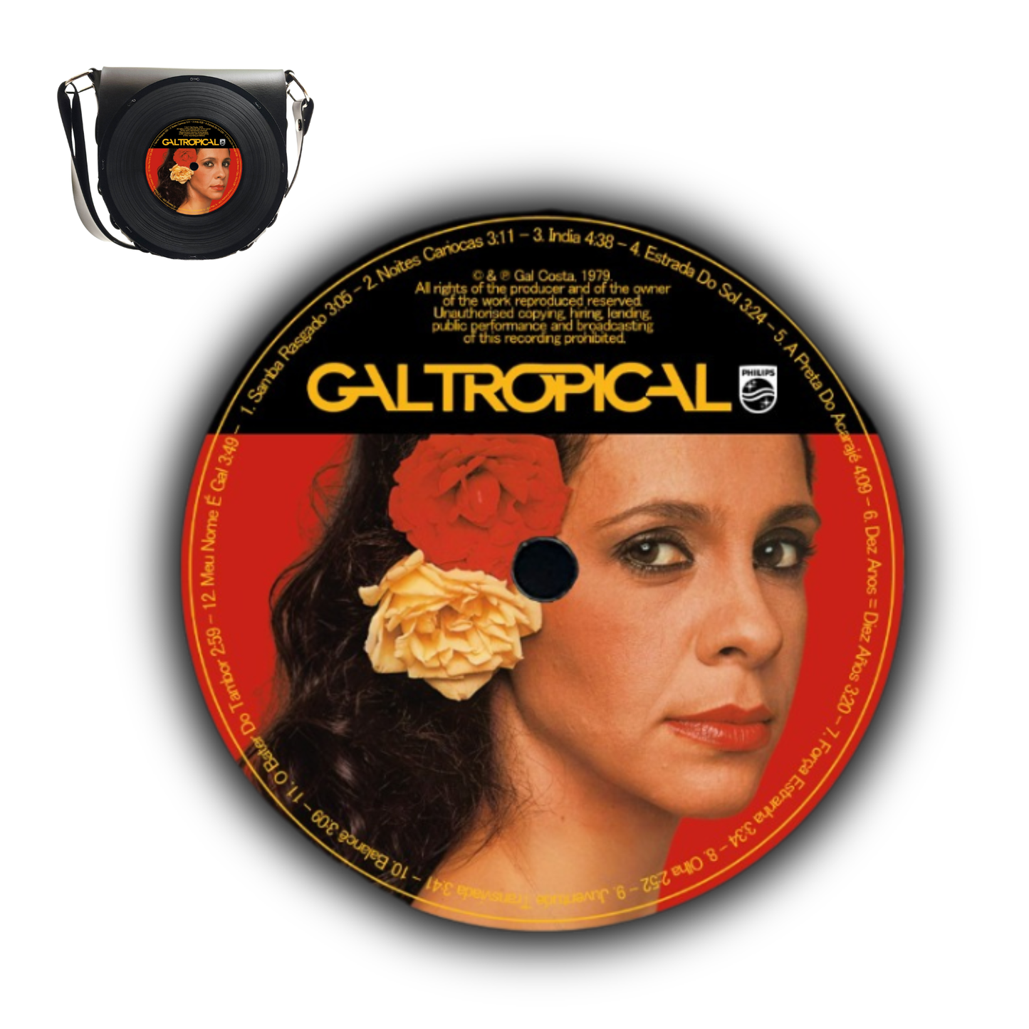 Arte do Disco Vinil - Monte sua Coleção